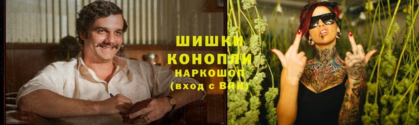 ешки Вяземский