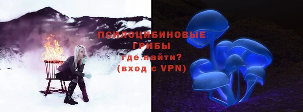 ешки Вяземский