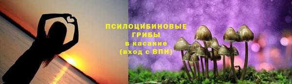 молекула духа Вязьма