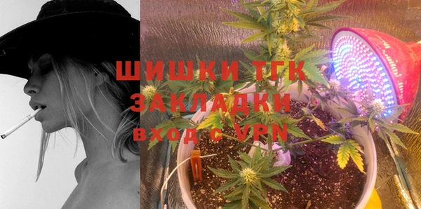 ешки Вяземский