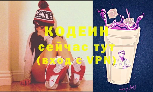 ешки Вяземский