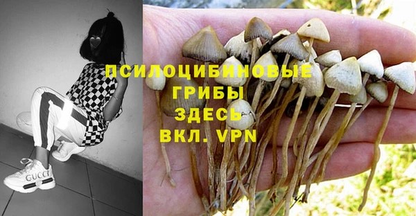молекула духа Вязьма