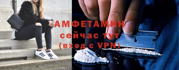 молекула духа Вязьма