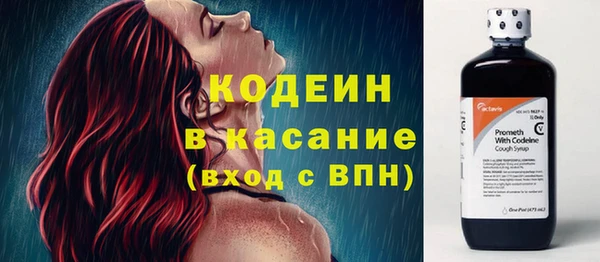 ешки Вяземский