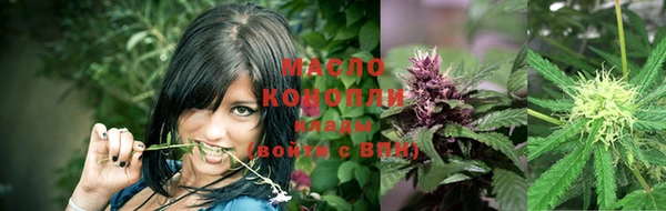 ешки Вяземский