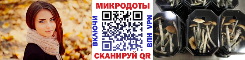 Псилоцибиновые грибы прущие грибы  Купить где  Ядрин 